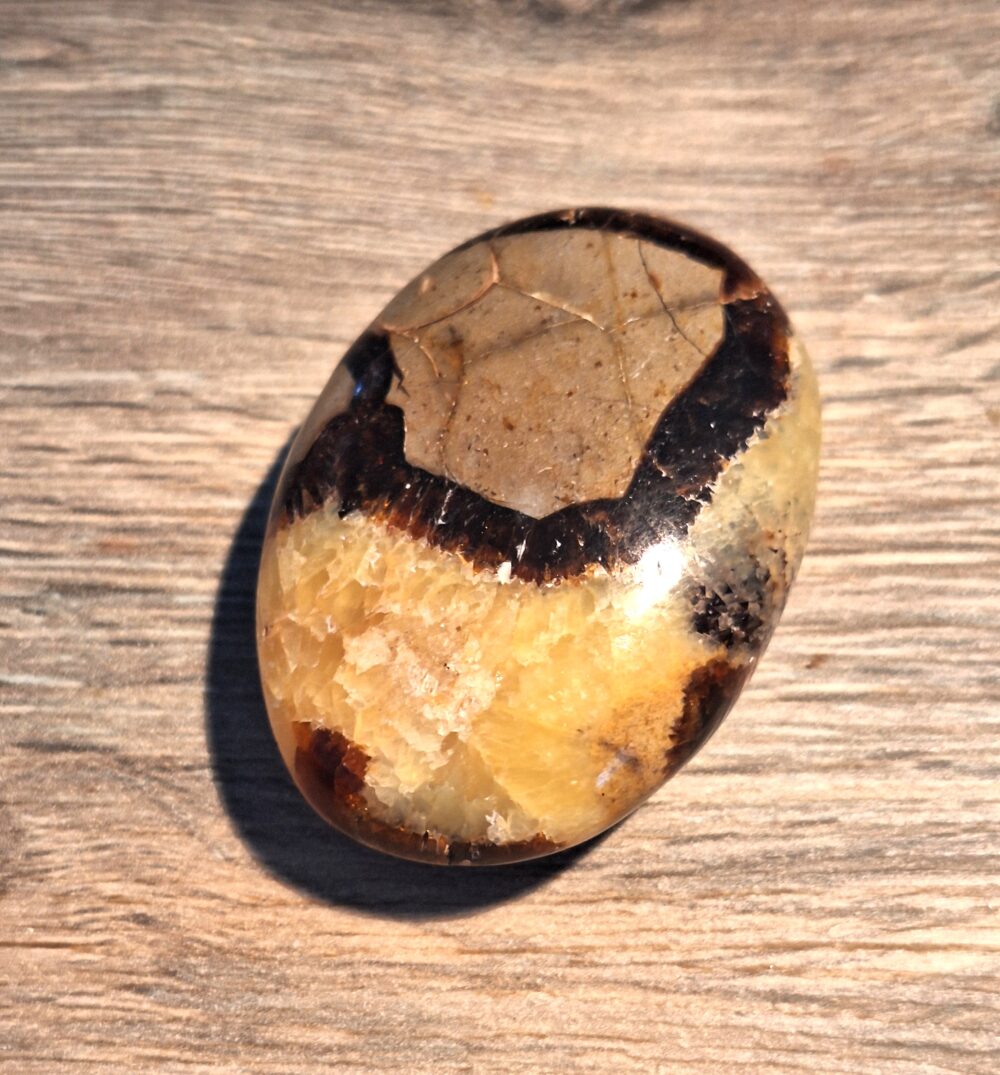 Galet de SEPTARIA