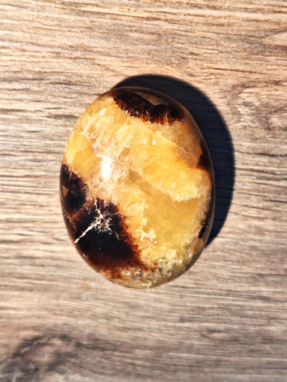 Galet de SEPTARIA – Image 2
