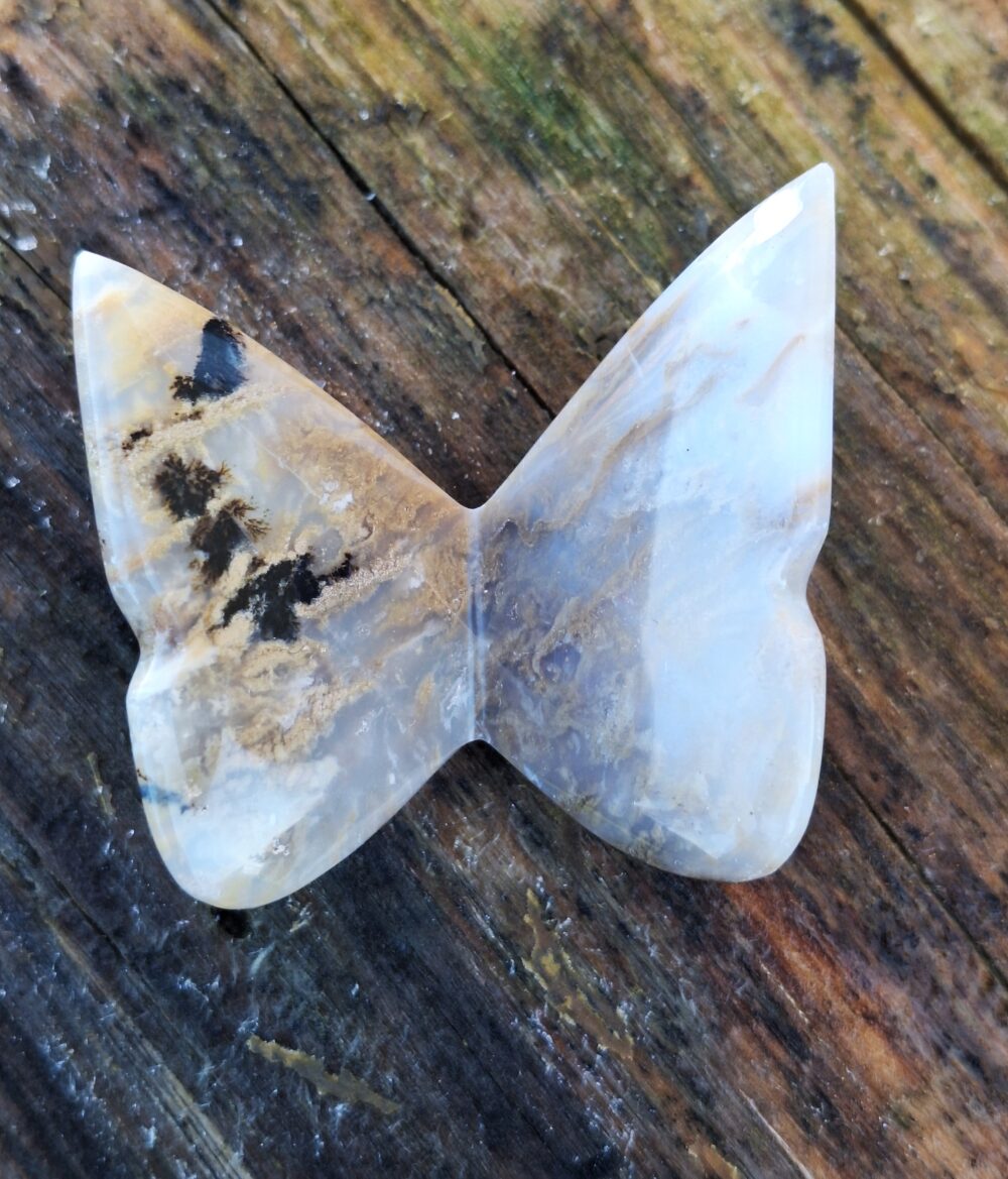 Papillon en Agate dentritique tigre