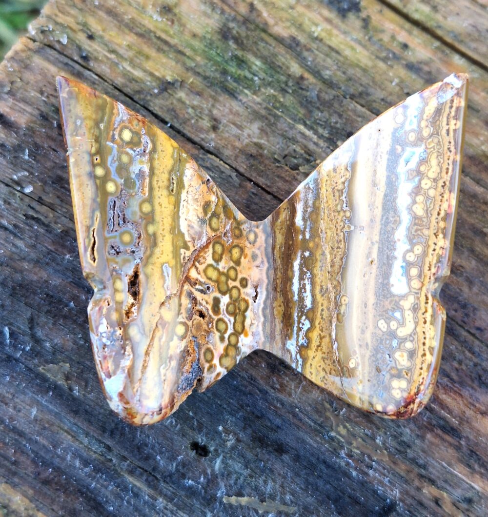 Papillon en JASPE OCEAN