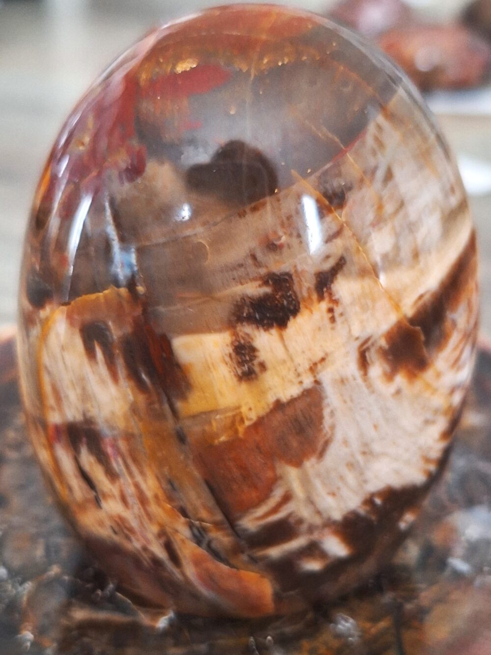 Forme libre de bois fossile