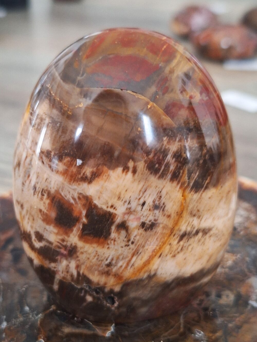Forme libre de bois fossile – Image 2
