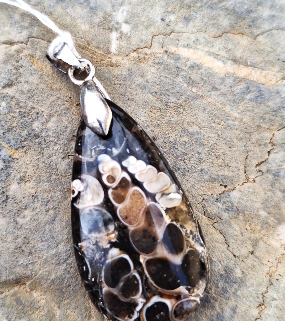 Pendentif en Agate turritelle