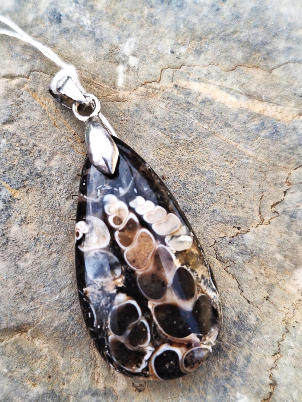 Pendentif en Agate turritelle