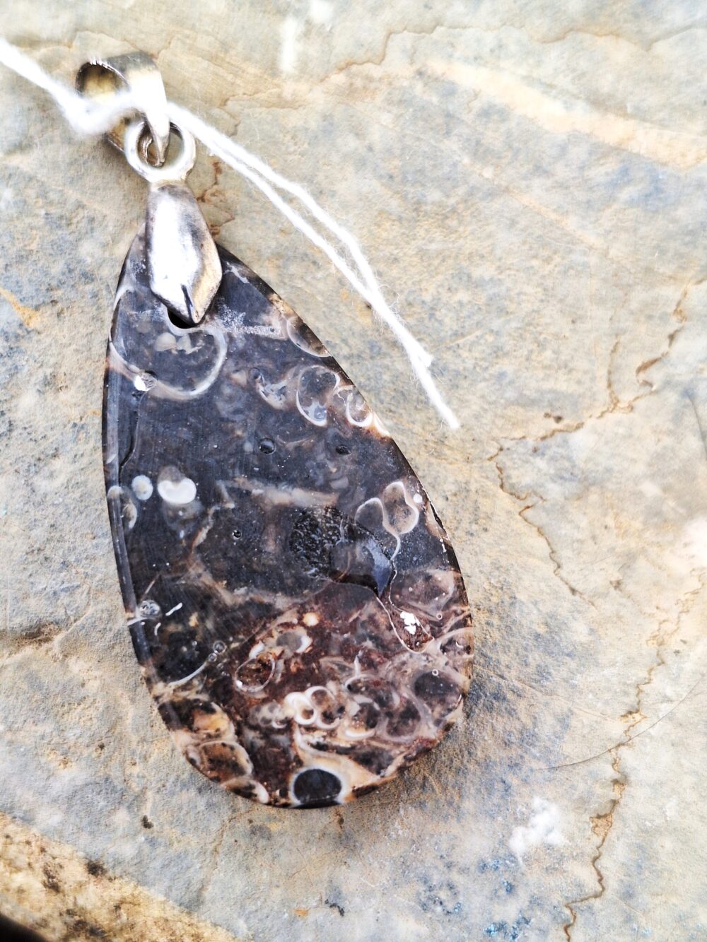 Pendentif en Agate turritelle – Image 2
