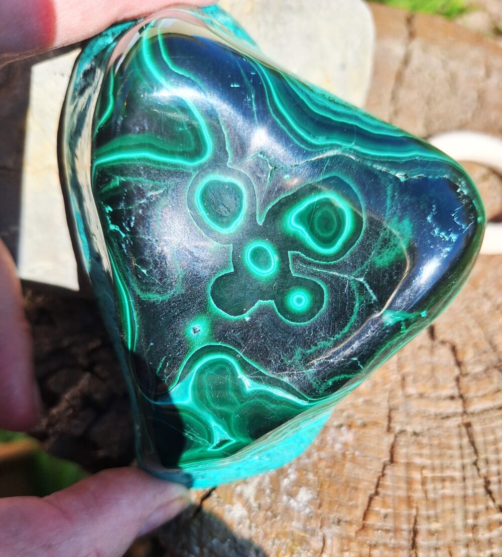 Forme libre Malachite polie