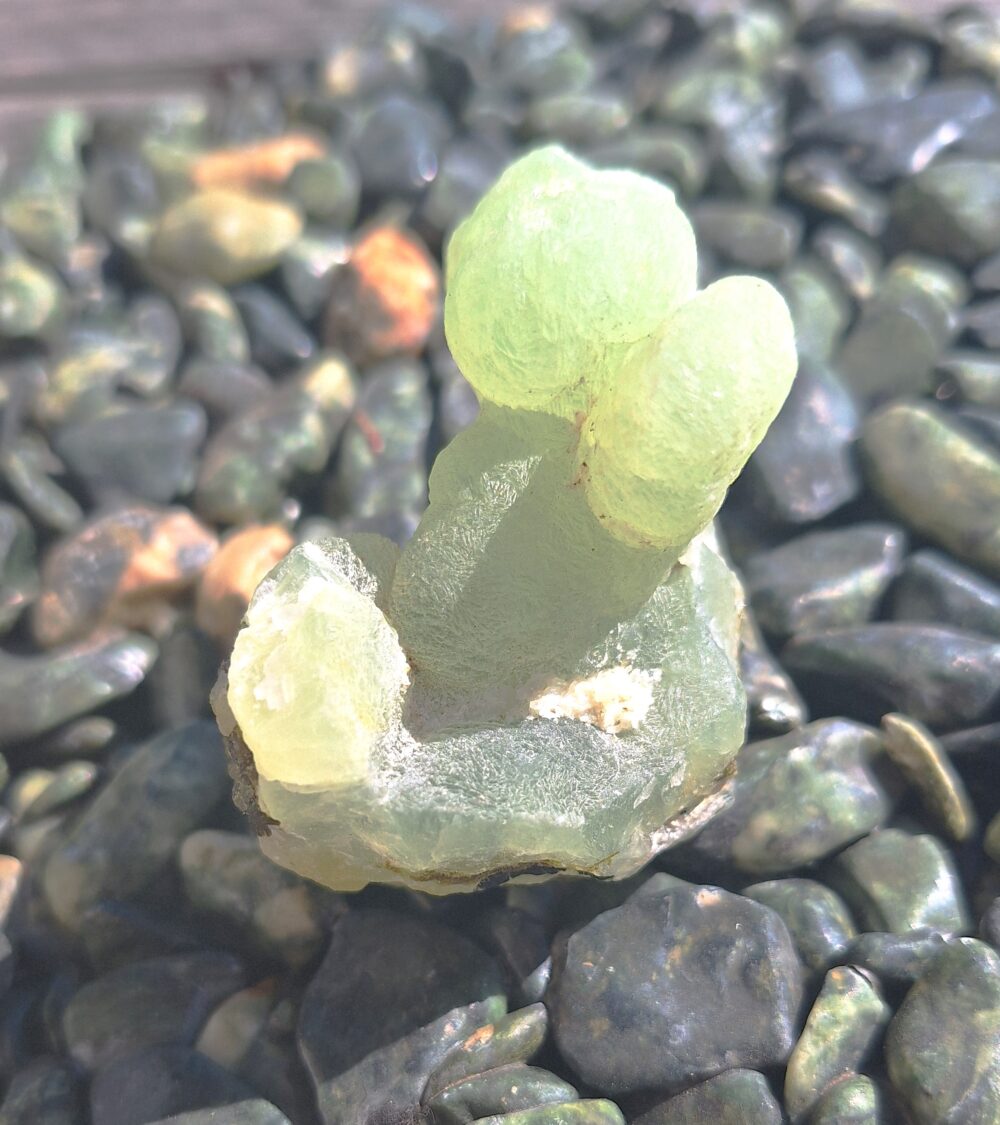 prehnite brute
