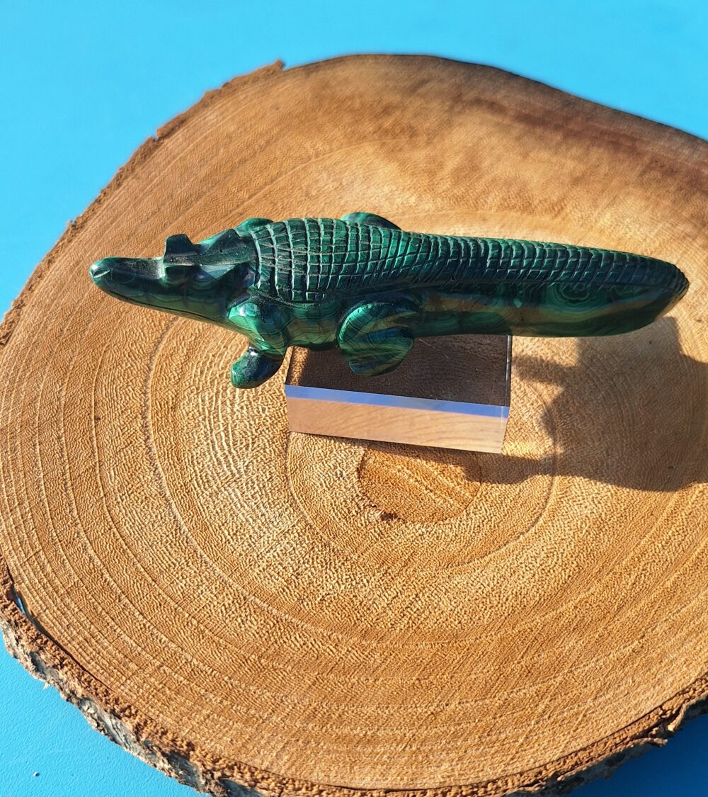 Crocodile en Malachite